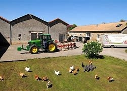 Ferme